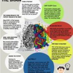 10-scientific-facts-about-the-human-brain-that-will-surprise-you