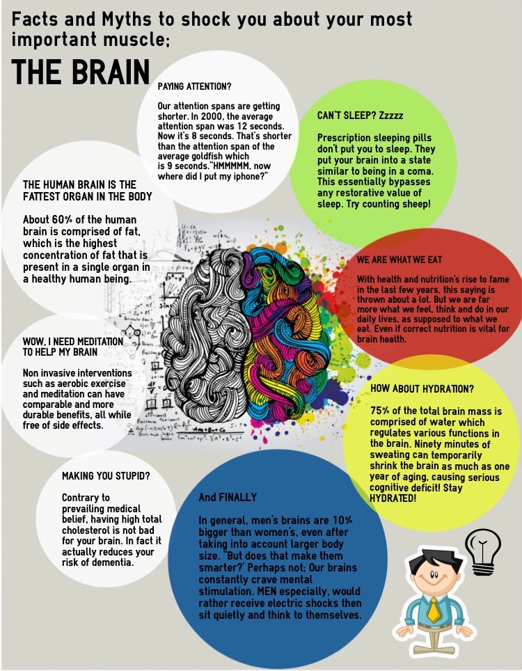 10 Scientific Facts About the Human Brain That Will Surprise You