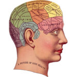 the-science-behind-human-memory-and-learning